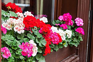 又要来了？科乐美商店发布神秘《寂静岭》图片